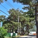 검산1리 마을회관 이미지