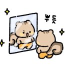 증산태권도장 이미지