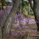 산척초등학교 이미지