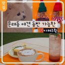 문래역 카페 추천 창작촌 감성 카페주황 후기 (애견 동반 가능)