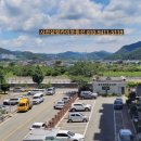 토산아델리움 이미지