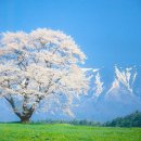 이&장 목장 이미지