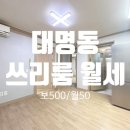 신대박공인중개사사무소 이미지