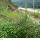 사정1리 경로당 이미지