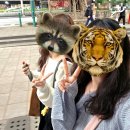 유한회사 스카이아림 | 홍콩 여행(3박 5일) ④ - 침사추이(블랙앤화이트 밀크티잔, 미니소, 기념품샵(ISSUE 香港手信店, Hong...