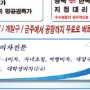 신성국제여행사 이미지