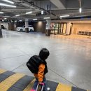 부여 롯데리조트 말랑카우 키즈룸 후기