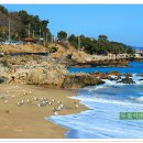 블루코스 이미지