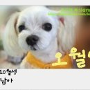김지영복싱GYM 네이버블로그