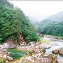 두명안휴식지(펜션 인근) | [펌] [여행정보 5]-수도권/촬영소外