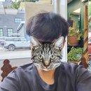 대관령동태탕 | [캐나다 워홀 ep.7]캠핑중독자의 일주일 2번 캠핑 후기