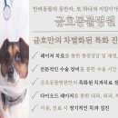 미소동물치과병원 이미지