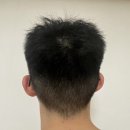 새치와까망머리 이미지