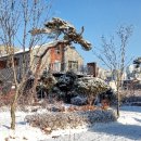 고운뜰길 이미지