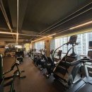 웰니스 피트니스 이미지