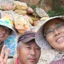 지산농원 티스토리