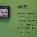 섬진강향가오토캠핑장