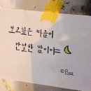 오빠돼지 이미지