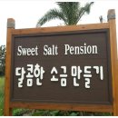 달콤한소금만들기 Daum카페