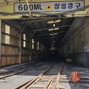대한석탄공사 장성광업소 프레시안