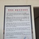 백제어죽 | [예산 맛집] 예당호의 풍경과 단골들의 맛이 머무는 곳, 노동리 ‘느티나무식당’ 어죽 솔직 후기