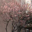 낙동강약국 이미지