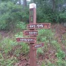 종합  안내판 이미지