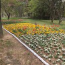 서창24시세차장 | 4/25토 인천대공원