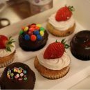 야니소프트 이미지