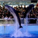 고래등어린이집 이미지