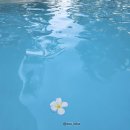 라비타호텔 | 푸껫 윈덤라비타 호텔 2탄 룸 Wyndham La Vita Phuket โรงแรมวินด์แฮม ลาวิต้า ภูเก็ต