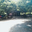 청도삼계탕 이미지