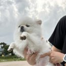 이선동물병원 이미지