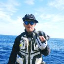 1225 | 군산 12동파도 갯바위 출조 종선배 이용 방법 및 다이와 토너먼트 낚시 장갑 3컷 DG-1225T 실사용 후기