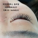 비치앤레푸스