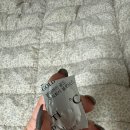 방배로43길 1-8 | 신쥐의 다이어트 일기 (개포동 이원경 내과) - 19일 차: 방배카페골목 ‘이자카야풍’에서 엄마랑 술을...