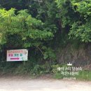 사곶 해수욕장 쉼터 공중화장실 | 샤스타데이지와 바다가 함께! 해루질까지 가능한 부안 변산해수욕장