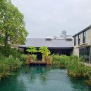 편안한 댕 이미지