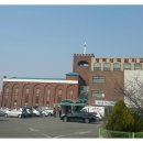 "3월21일 평택성곡감리교회 행사" 이미지