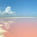 올인원투어 | 칸쿤 신혼여행 핑크라군 가는 법 핑세치 투어 콩콩팡팡 멕시코 액티비티