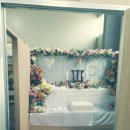 (주)동물사랑 대구러브펫 이미지