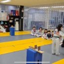 설송태권도장 이미지