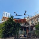 코이젠이비인후과의원 이미지