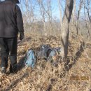 용산-274 이미지