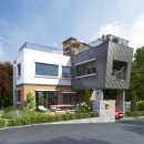 비다펠리스 이미지