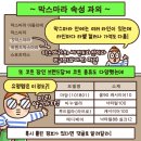 S막스마라 에스투리아 IT 36 1년 실착 후기🧥 | 158cm 사이즈 팁 &amp; 막스마라 마누엘라와 비교