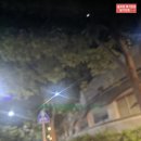 금강해우촌