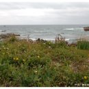 에덴여인숙 이미지