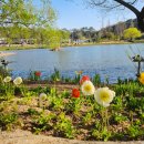 순천만국가정원 이미지