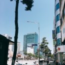 &lt;2018 상반기&gt; CJ 제일제당 1차 면접 후기